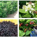 상희농장 이미지