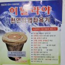 셀피아 Daum카페