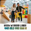 무지개해양수족관 | 부산 비오는 날 아이와 나들이, 부산 실내명소 추천장소 예약 노하우