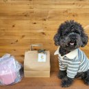 금쪽같은내강아지수제간식 이미지