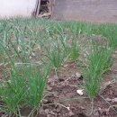 가신경로당 이미지