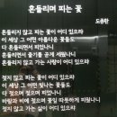 5월31일 금요일 출석부 - 애완동물 이미지