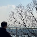 속초중앙시장해물짬뽕 이미지