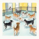 메리펫 애견유치원 이미지