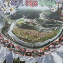 옥정호구절초테마공원 이미지