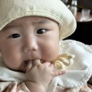 서우목장 이미지