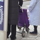 일호 극장 | D+197 내 차 타고 스페인/셋이 걷는 알리칸테