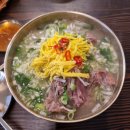 구펠 티스토리