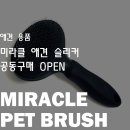 미라클 그루밍 이미지