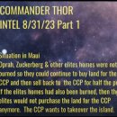 Commander Thor Intel - 8/31 & 9/10 이미지