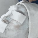 브리앙슈 이지다