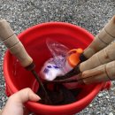 파라다이스펜션 이미지