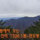가리마