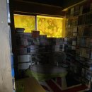 진짜진짜만화방 이미지