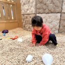 용인시박물관 | 주말에도 붐비지 않는 용인 무료 실내 아기랑 갈만한곳 용인시박물관 추천