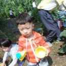 태균농장 이미지