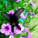 가원펜션 이미지