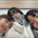 옹기종기 꿀잼