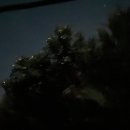 반딧불안경 이미지