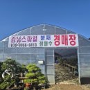대야원 이미지
