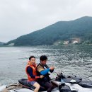 팽나무 민박 이미지