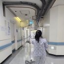 단국대학교 | 천안 단국대학교 편도수술후기