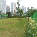 고양시 동물보호센터 이미지