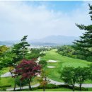 화동로R 네이버블로그