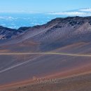 (주)파란고래 이미지
