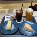 커피 선인장(suninjang) 이미지