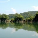 옥천