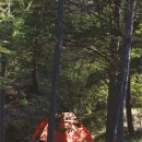 청송자연휴양림 이미지