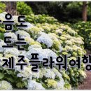 삼다현투어