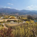 관산리마을회관 | 구례 산수유 사랑공원, 죽이네 식당 다슬기수제비 후기 #구례산수유마을