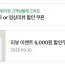 네일바이무드