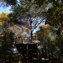 울산약사제방유적전시관 이미지