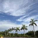 1275 | 칸쿤에서 엘에이LA 유나이티드항공 UA1275편 좌석 기내식 후기