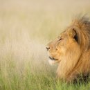 도서관 미술 수업 이미지