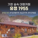 유정1955 | 기장 숲속 대형카페 유정1955｜좌식 개별룸 있는 힐링 베이커리카페 내돈내산 후기