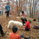 향로농장 이미지