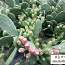 금암농장2 이미지