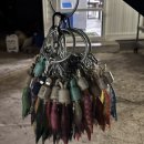 팔도민박 이미지