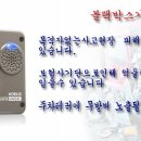 엔젤디오주