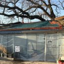 도토리 | 이천 테르메덴 맛집 추천｜주차 편한 버드나무 도토리묵집 후기