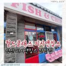 월드피시 이미지