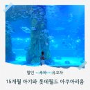 잠실어린이집 | [서울 잠실] 롯데월드 아쿠아리움 15개월 아기랑 다녀온 후기｜할인, 주차, 유모차, 36개월 무료