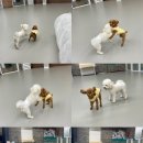 생글댕글 이미지