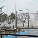 밀 | 신정호점심 추천 막국수맛집 꽃피는밀 후기