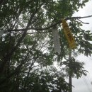 부곡2리 이미지