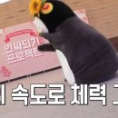 풍산권투체육관 이미지